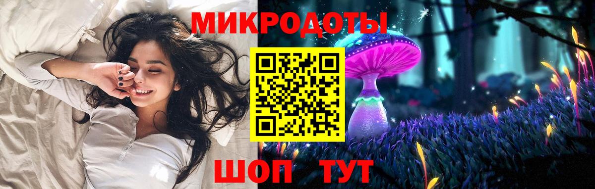 Галлюциногенные грибы Psilocybe Аксай